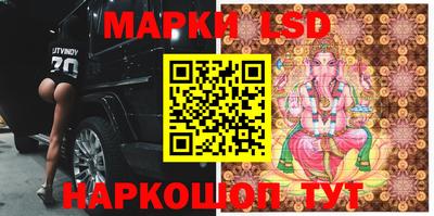 прущие крисы Будённовск