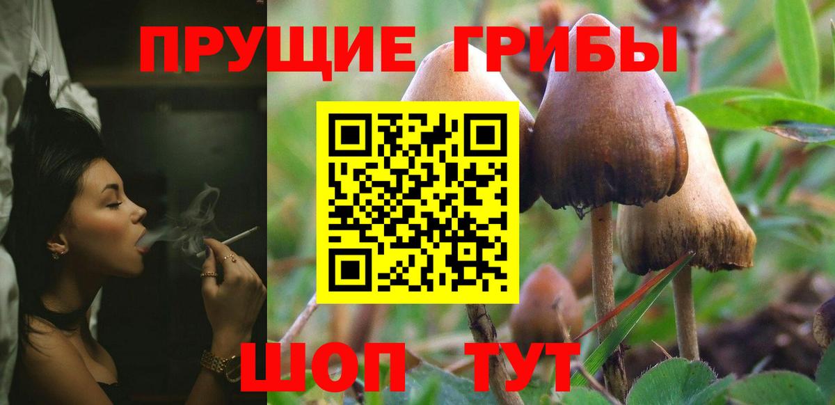 Псилоцибиновые грибы прущие грибы Беслан